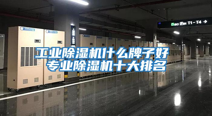工業(yè)除濕機什么牌子好 專(zhuān)業(yè)除濕機十大排名