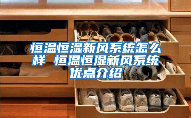 恒溫恒濕新風(fēng)系統怎么樣 恒溫恒濕新風(fēng)系統優(yōu)點(diǎn)介紹