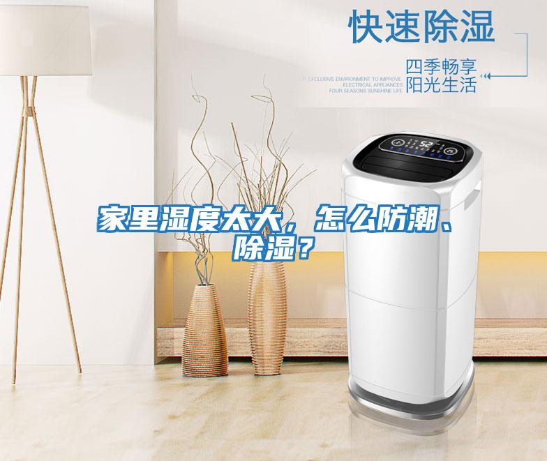 家里濕度太大，怎么防潮、除濕？