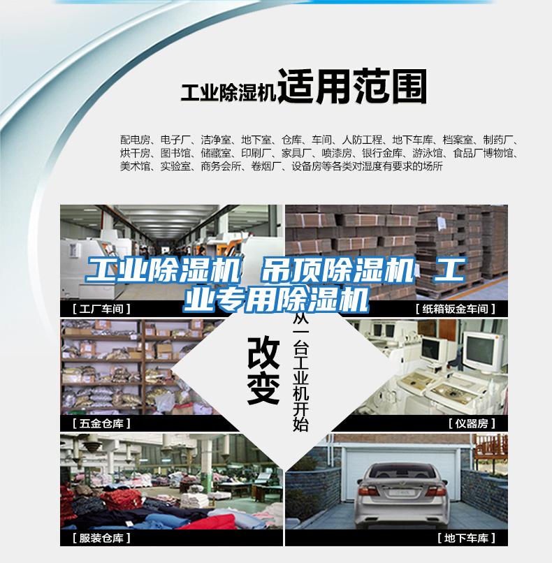 工業(yè)除濕機 吊頂除濕機 工業(yè)專(zhuān)用除濕機