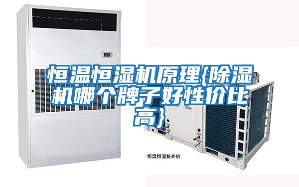 恒溫恒濕機原理{除濕機哪個(gè)牌子好性?xún)r(jià)比高}
