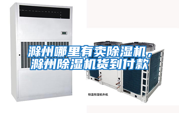滁州哪里有賣(mài)除濕機，滁州除濕機貨到付款