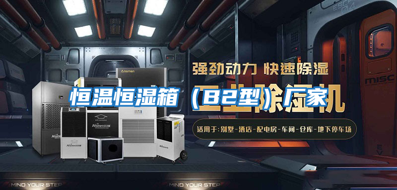 恒溫恒濕箱（B2型）廠(chǎng)家