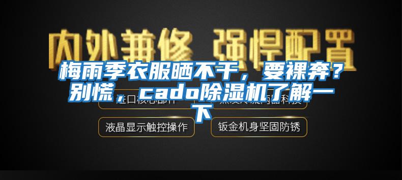 梅雨季衣服曬不干，要裸奔？別慌，cado除濕機了解一下