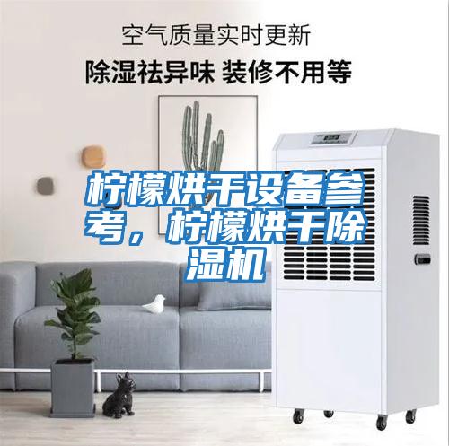 檸檬烘干設備參考，檸檬烘干除濕機