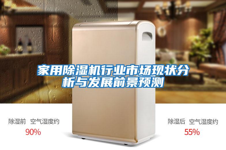 家用除濕機行業(yè)市場(chǎng)現狀分析與發(fā)展前景預測