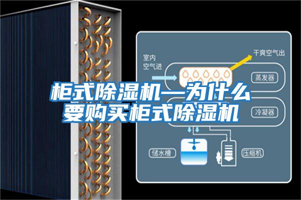 柜式除濕機—為什么要購買(mǎi)柜式除濕機