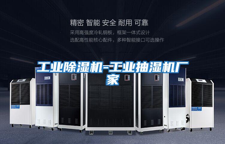 工業(yè)除濕機-工業(yè)抽濕機廠(chǎng)家