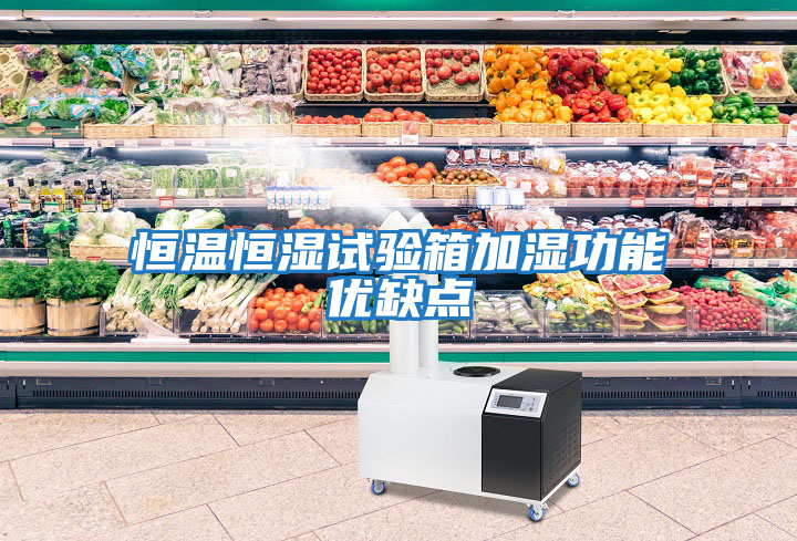 恒溫恒濕試驗箱加濕功能優(yōu)缺點(diǎn)