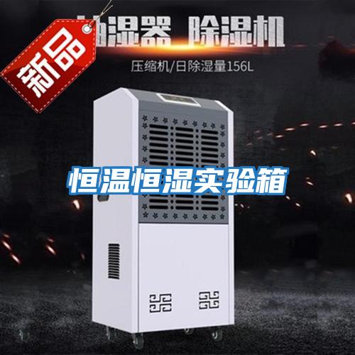 恒溫恒濕實(shí)驗箱
