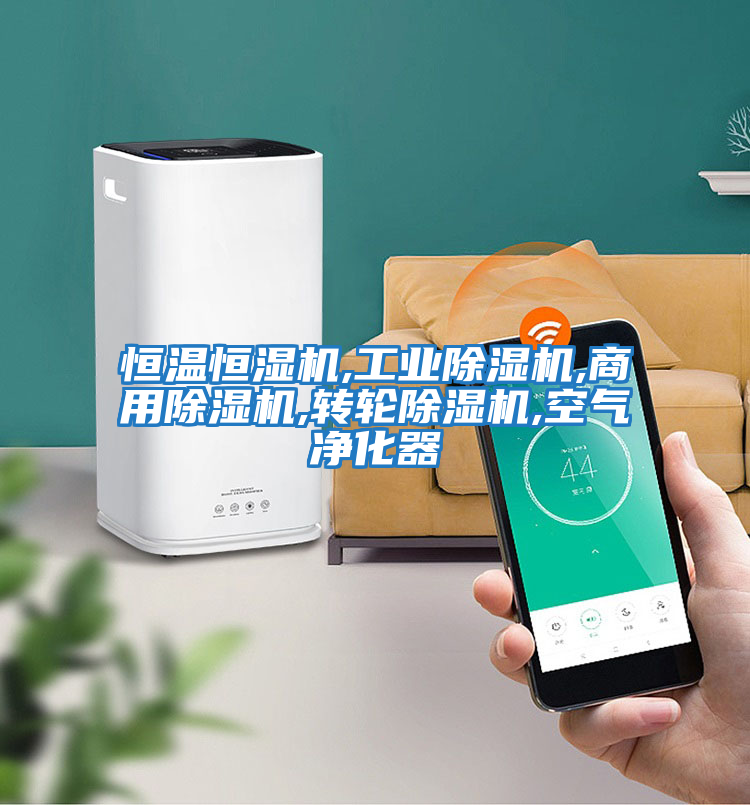 恒溫恒濕機,工業(yè)除濕機,商用除濕機,轉輪除濕機,空氣凈化器