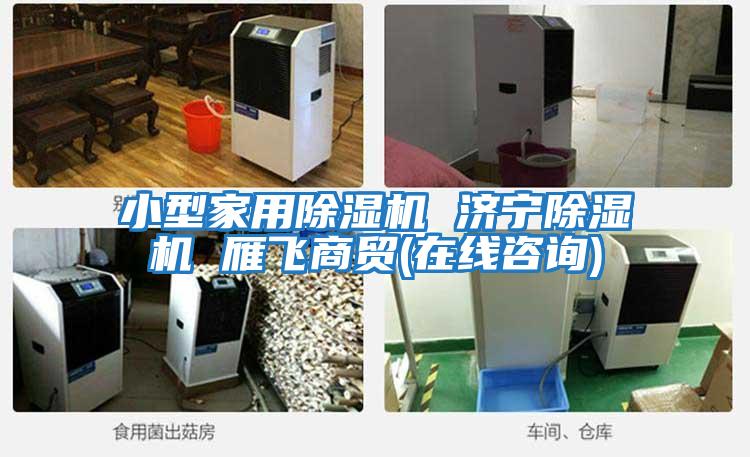 小型家用除濕機 濟寧除濕機 雁飛商貿(在線(xiàn)咨詢(xún))