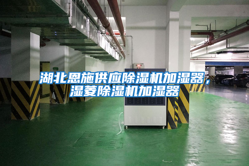 湖北恩施供應除濕機加濕器，濕菱除濕機加濕器