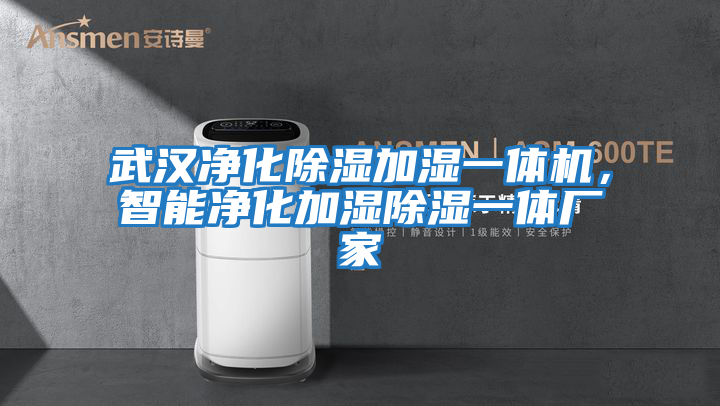 武漢凈化除濕加濕一體機，智能凈化加濕除濕一體廠(chǎng)家