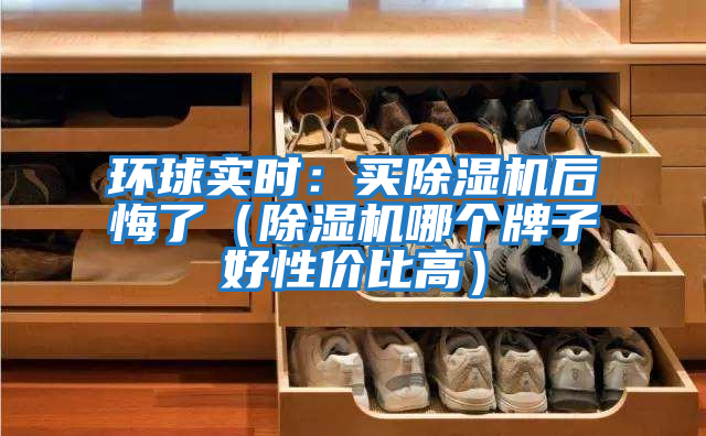 環(huán)球實(shí)時(shí)：買(mǎi)除濕機后悔了（除濕機哪個(gè)牌子好性?xún)r(jià)比高）