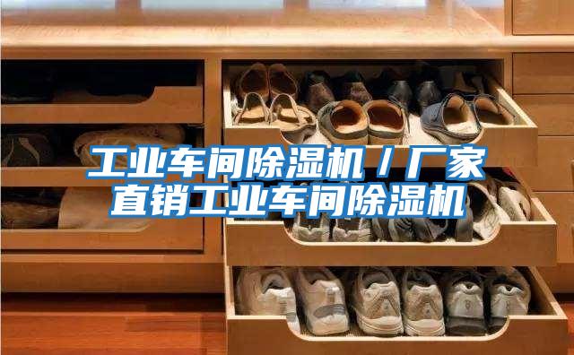 工業(yè)車(chē)間除濕機／廠(chǎng)家直銷(xiāo)工業(yè)車(chē)間除濕機