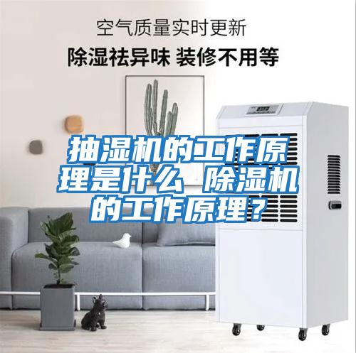 抽濕機的工作原理是什么 除濕機的工作原理？