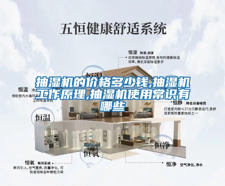 抽濕機的價(jià)格多少錢(qián),抽濕機工作原理,抽濕機使用常識有哪些