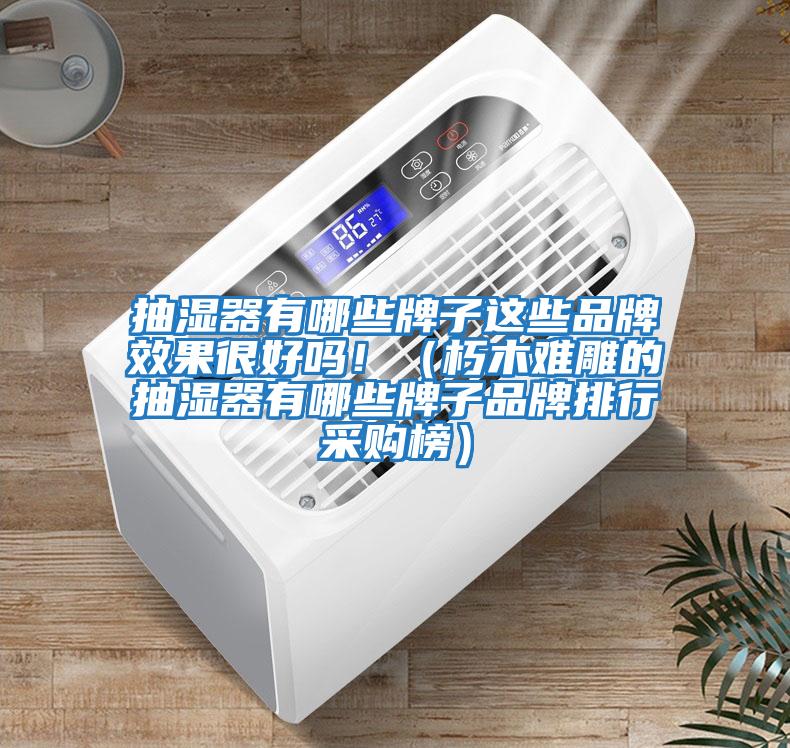 抽濕器有哪些牌子這些品牌效果很好嗎?。ㄐ嗄倦y雕的抽濕器有哪些牌子品牌排行采購榜）
