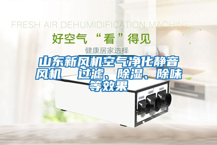山東新風(fēng)機空氣凈化靜音風(fēng)機  過(guò)濾、除濕、除味等效果
