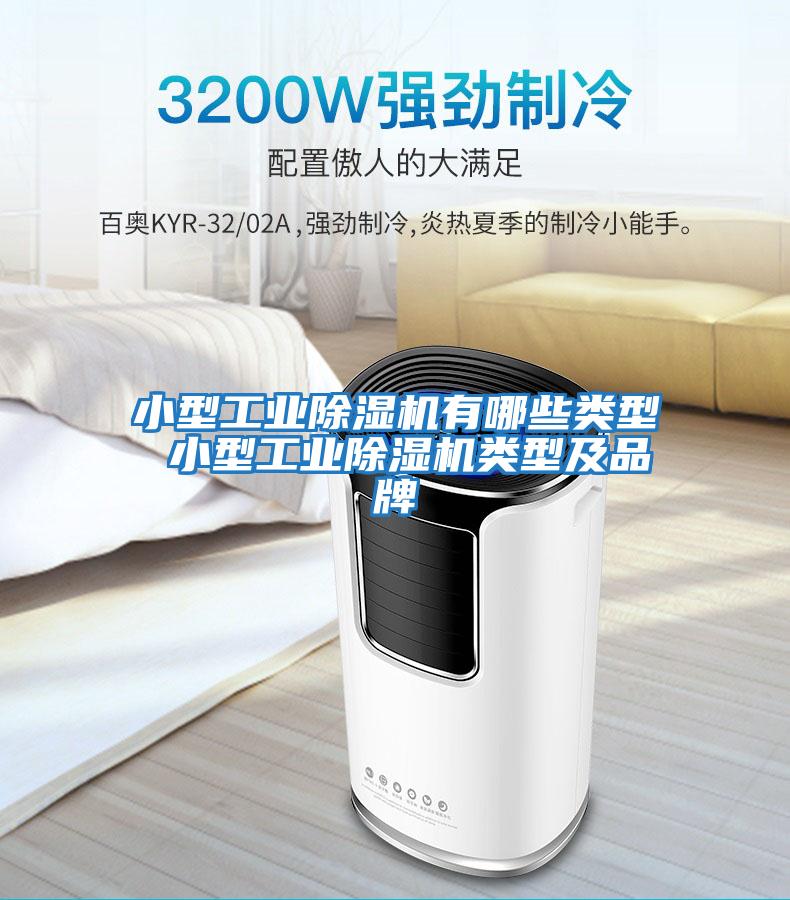 小型工業(yè)除濕機有哪些類(lèi)型 小型工業(yè)除濕機類(lèi)型及品牌