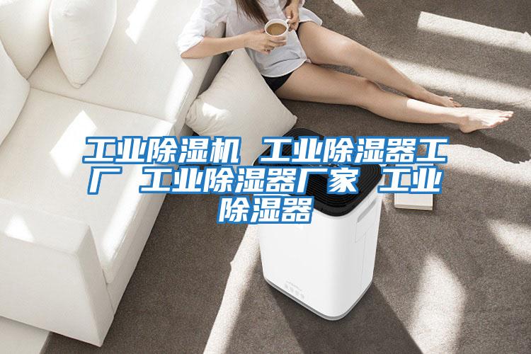 工業(yè)除濕機 工業(yè)除濕器工廠(chǎng) 工業(yè)除濕器廠(chǎng)家 工業(yè)除濕器