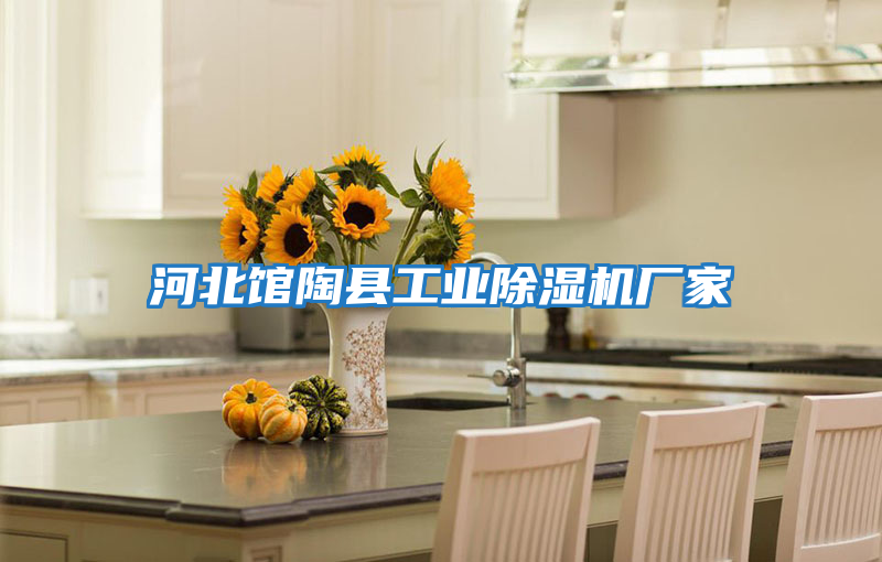 河北館陶縣工業(yè)除濕機廠(chǎng)家
