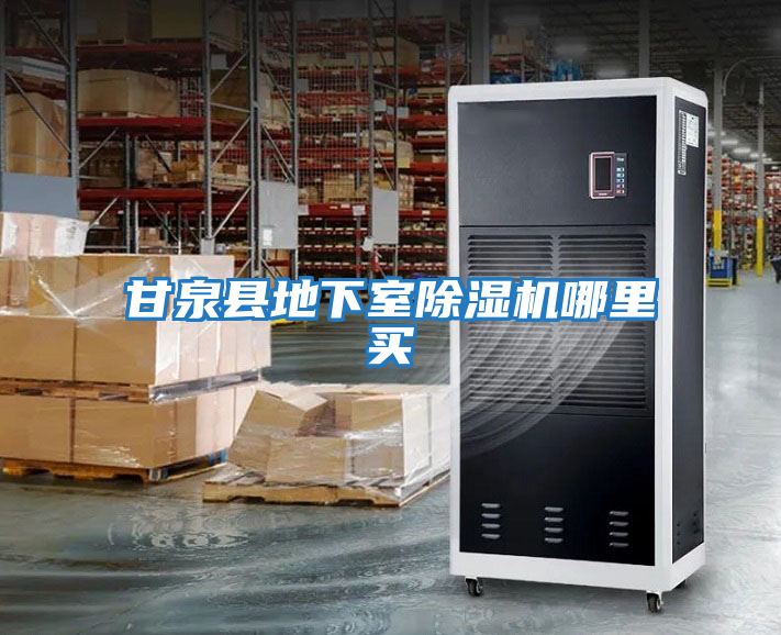 甘泉縣地下室除濕機哪里買(mǎi)