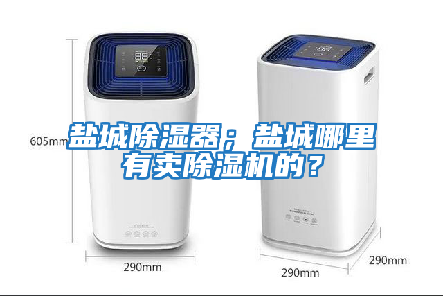 鹽城除濕器；鹽城哪里有賣(mài)除濕機的？