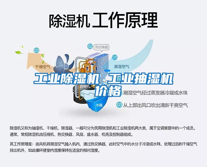 工業(yè)除濕機 工業(yè)抽濕機 價(jià)格