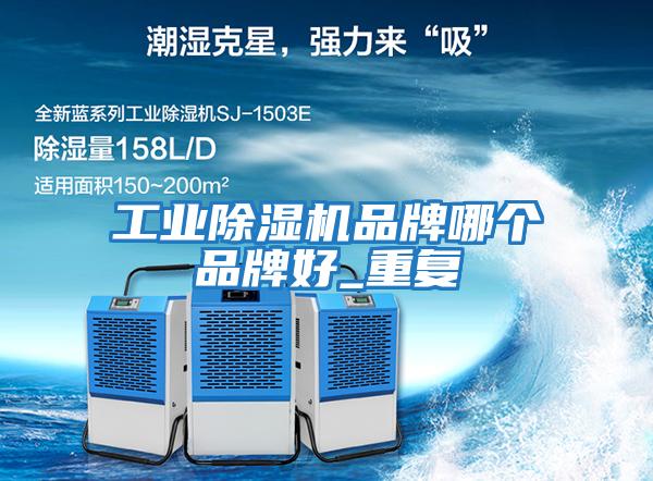 工業(yè)除濕機品牌哪個(gè)品牌好_重復