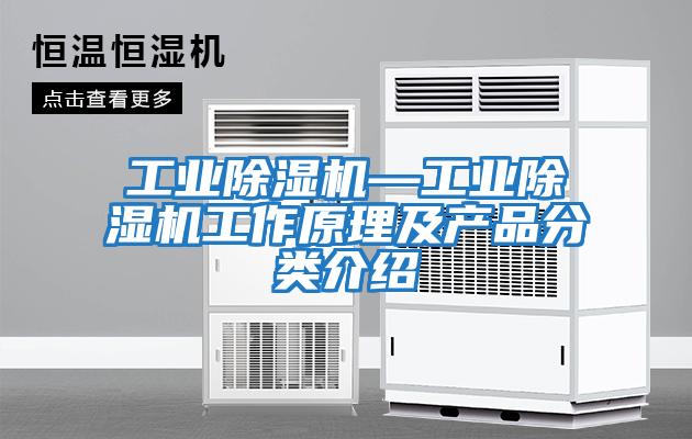 工業(yè)除濕機—工業(yè)除濕機工作原理及產(chǎn)品分類(lèi)介紹