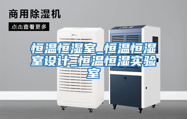 恒溫恒濕室_恒溫恒濕室設計_恒溫恒濕實(shí)驗室
