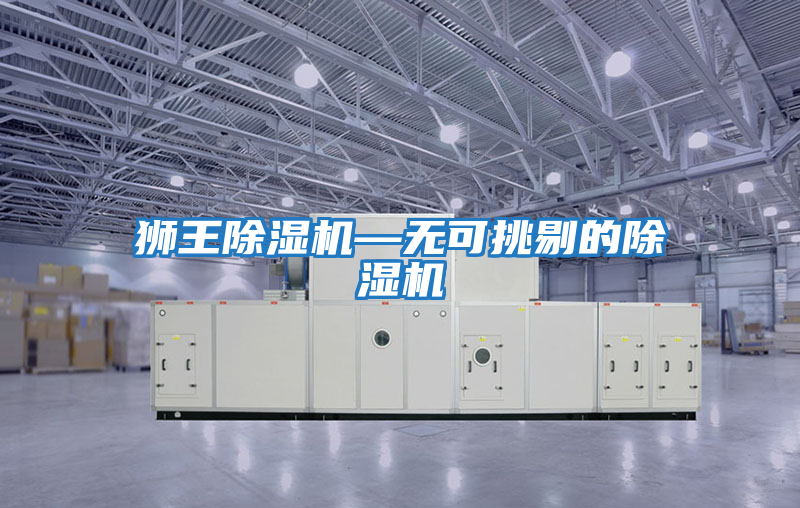 獅王除濕機—無(wú)可挑剔的除濕機