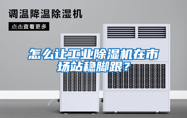 怎么讓工業(yè)除濕機在市場(chǎng)站穩腳跟？