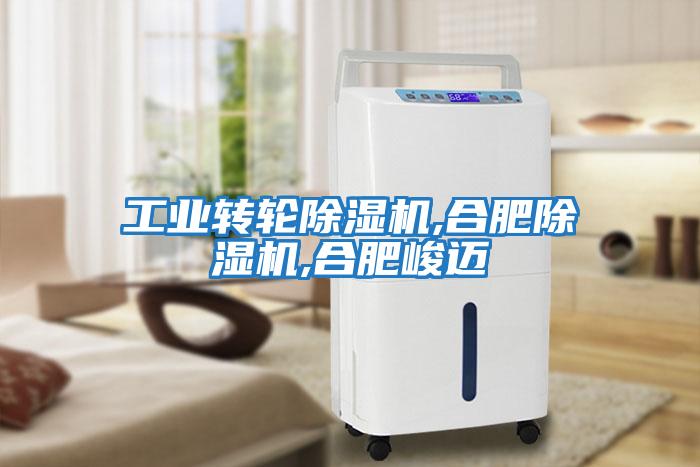 工業(yè)轉輪除濕機,合肥除濕機,合肥峻邁
