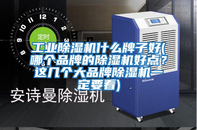 工業(yè)除濕機什么牌子好(哪個(gè)品牌的除濕機好點(diǎn)？這幾個(gè)大品牌除濕機一定要看)