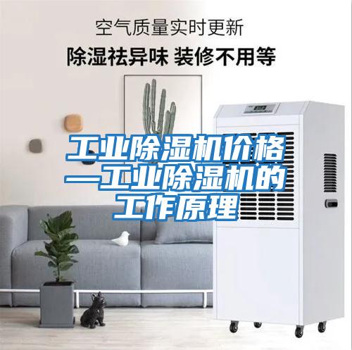 工業(yè)除濕機價(jià)格—工業(yè)除濕機的工作原理