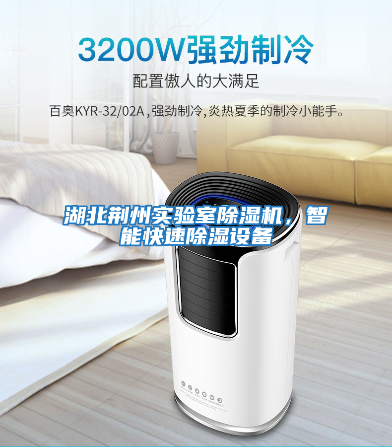 湖北荊州實(shí)驗室除濕機，智能快速除濕設備