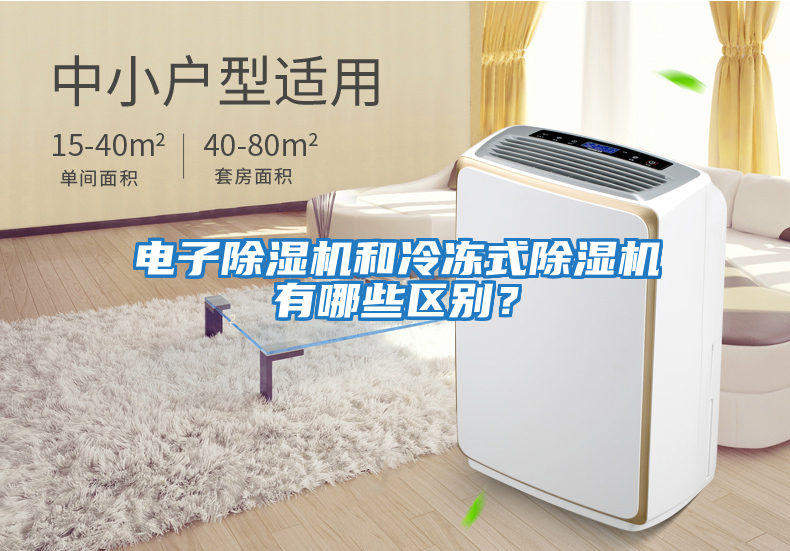 電子除濕機和冷凍式除濕機有哪些區別？