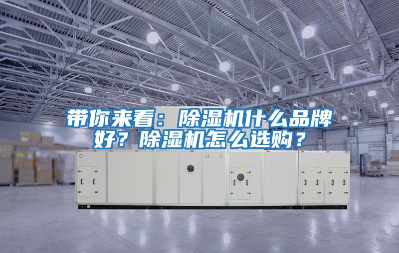 帶你來(lái)看：除濕機什么品牌好？除濕機怎么選購？