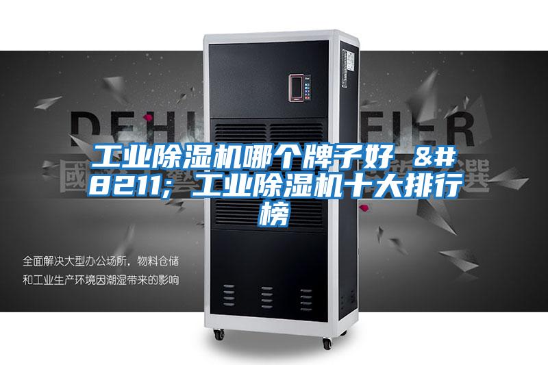 工業(yè)除濕機哪個(gè)牌子好 – 工業(yè)除濕機十大排行榜