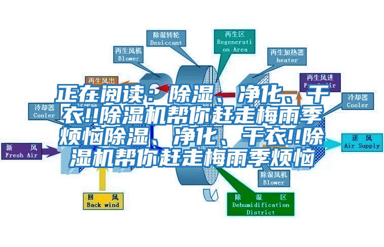 正在閱讀：除濕、凈化、干衣!!除濕機幫你趕走梅雨季煩惱除濕、凈化、干衣!!除濕機幫你趕走梅雨季煩惱