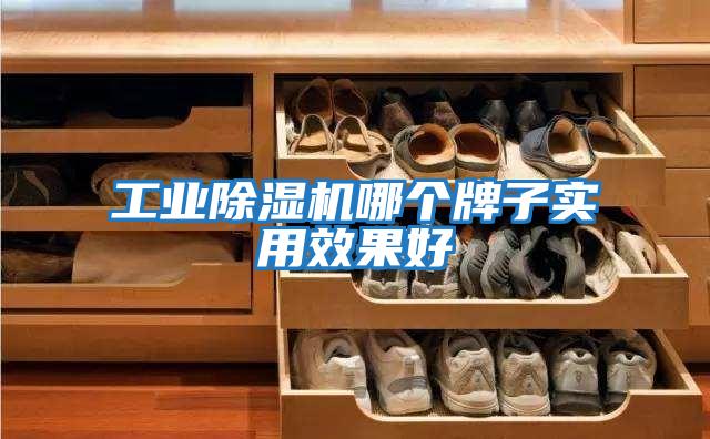 工業(yè)除濕機哪個(gè)牌子實(shí)用效果好