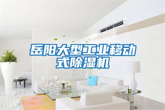 岳陽(yáng)大型工業(yè)移動(dòng)式除濕機