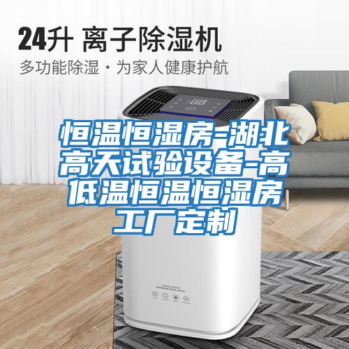恒溫恒濕房-湖北高天試驗設備-高低溫恒溫恒濕房工廠(chǎng)定制