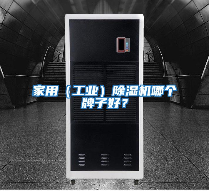 家用（工業(yè)）除濕機哪個(gè)牌子好？