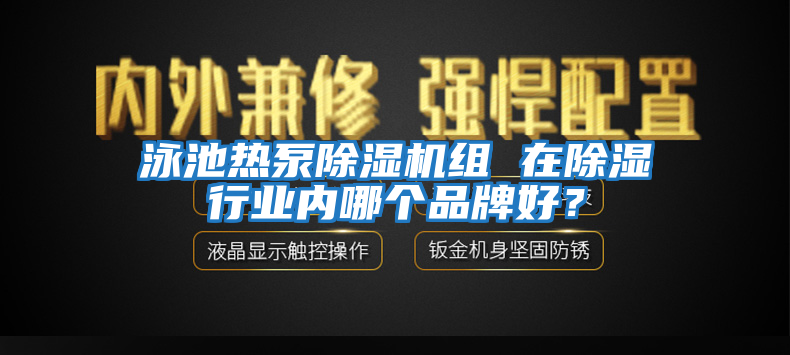 泳池熱泵除濕機組 在除濕行業(yè)內哪個(gè)品牌好？