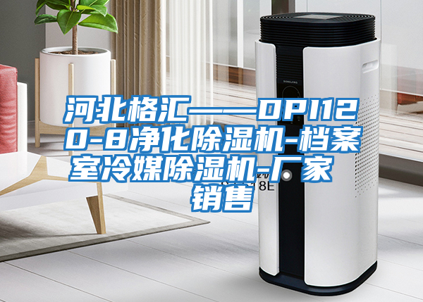 河北格匯——DPI120-8凈化除濕機-檔案室冷媒除濕機-廠(chǎng)家  銷(xiāo)售