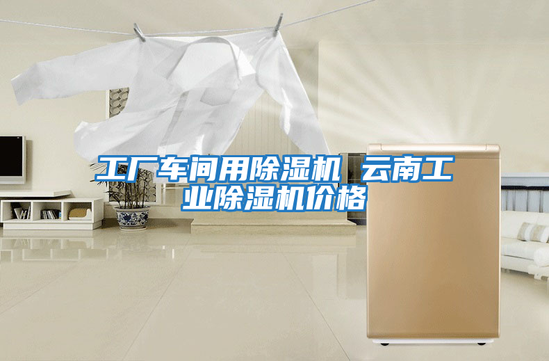工廠(chǎng)車(chē)間用除濕機 云南工業(yè)除濕機價(jià)格